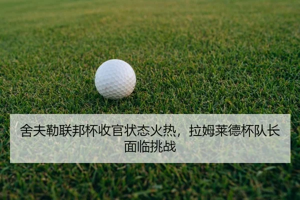 she-fu-lei-lian-bang-bei-shou-guan-zhuang-tai-huo-re-la-mu-lai-de-bei-dui-zhang-mian-lin-tiao-zhan-2-824.jpg